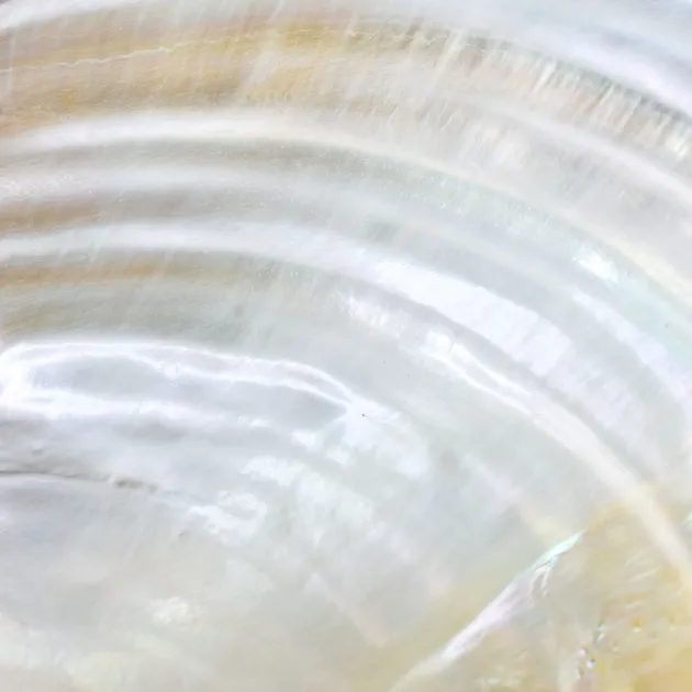 Website ontwikkeld voor: Lumen Psychologen